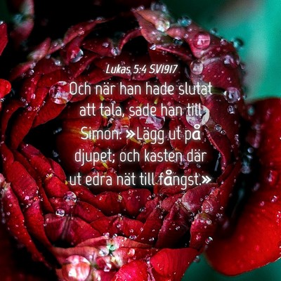 Picture 04 - Lukas 5:4 SV1917 - Och när han hade slutat att tala, sade han till - Bible Verse Picture