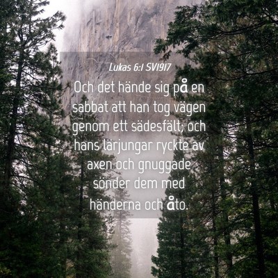 Picture 04 - Lukas 6:1 SV1917 - Och det hände sig på en sabbat att han tog - Bible Verse Picture