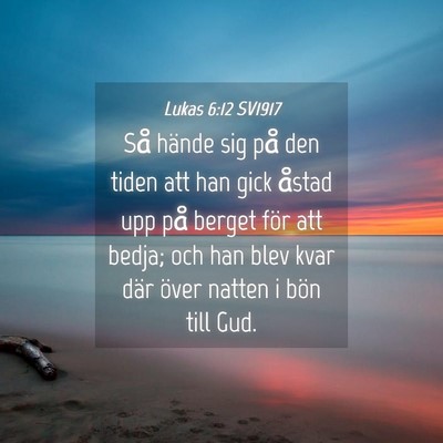Picture 04 - Lukas 6:12 SV1917 - Så hände sig på den tiden att han gick åstad - Bible Verse Picture
