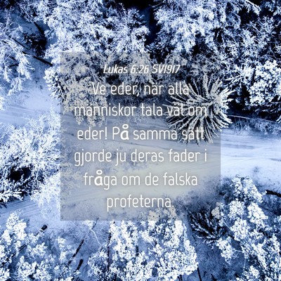 Picture 04 - Lukas 6:26 SV1917 - Ve eder, när alla människor tala väl om eder! - Bible Verse Picture