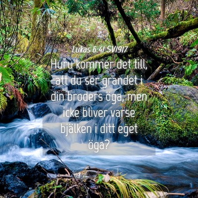 Picture 04 - Lukas 6:41 SV1917 - Huru kommer det till, att du ser grandet i din - Bible Verse Picture