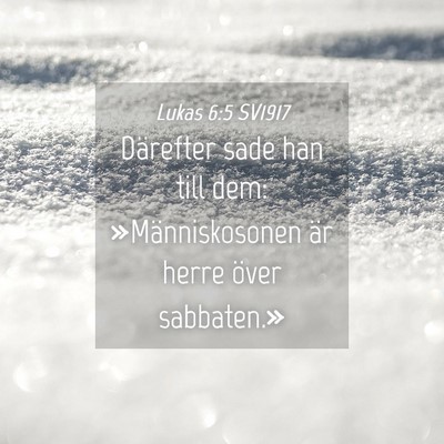 Picture 04 - Lukas 6:5 SV1917 - Därefter sade han till dem: »Människosonen är - Bible Verse Picture