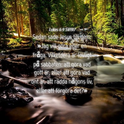 Picture 04 - Lukas 6:9 SV1917 - Sedan sade Jesus till dem: »Jag vill göra eder - Bible Verse Picture