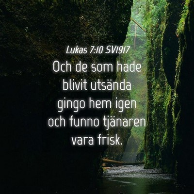Picture 04 - Lukas 7:10 SV1917 - Och de som hade blivit utsända gingo hem igen - Bible Verse Picture