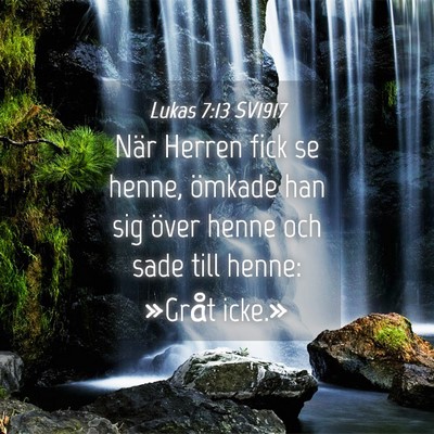 Picture 04 - Lukas 7:13 SV1917 - När Herren fick se henne, ömkade han sig över - Bible Verse Picture