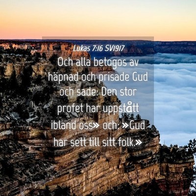 Picture 04 - Lukas 7:16 SV1917 - Och alla betogos av häpnad och prisade Gud och - Bible Verse Picture