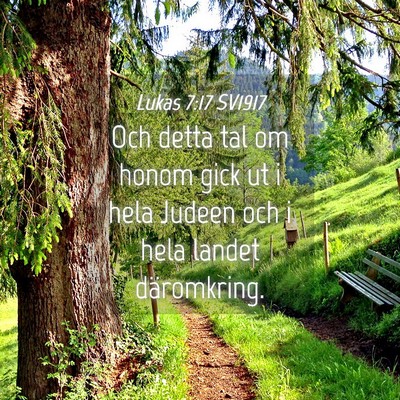Picture 04 - Lukas 7:17 SV1917 - Och detta tal om honom gick ut i hela Judeen och - Bible Verse Picture