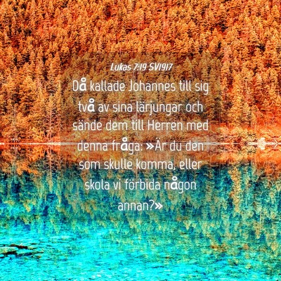 Picture 04 - Lukas 7:19 SV1917 - Då kallade Johannes till sig två av sina - Bible Verse Picture