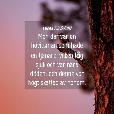 Picture 04 - Lukas 7:2 SV1917 - Men där var en hövitsman som hade en tjänare, - Bible Verse Picture
