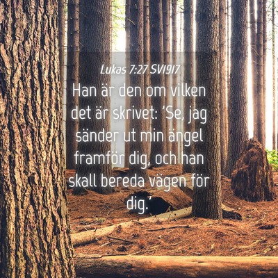 Picture 04 - Lukas 7:27 SV1917 - Han är den om vilken det är skrivet: 'Se, jag - Bible Verse Picture