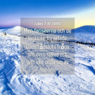 Picture 04 - Lukas 7:30 SV1917 - Men fariséerna och de lagkloke föraktade Guds - Bible Verse Picture