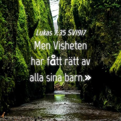 Picture 04 - Lukas 7:35 SV1917 - Men Visheten har fått rätt av alla sina - Bible Verse Picture