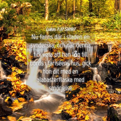 Picture 04 - Lukas 7:37 SV1917 - Nu fanns där i staden en synderska; och när - Bible Verse Picture