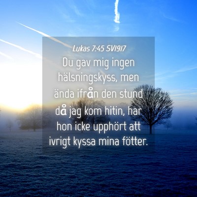 Picture 04 - Lukas 7:45 SV1917 - Du gav mig ingen hälsningskyss, men ända ifrån - Bible Verse Picture