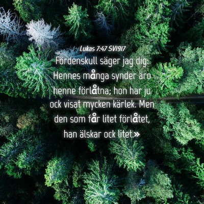 Picture 04 - Lukas 7:47 SV1917 - Fördenskull säger jag dig: Hennes många synder - Bible Verse Picture