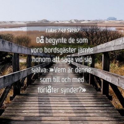 Picture 04 - Lukas 7:49 SV1917 - Då begynte de som voro bordsgäster jämte honom - Bible Verse Picture