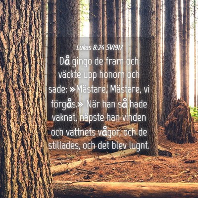 Picture 04 - Lukas 8:24 SV1917 - Då gingo de fram och väckte upp honom och sade: - Bible Verse Picture