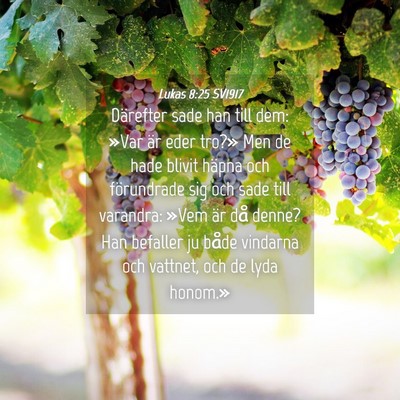 Picture 04 - Lukas 8:25 SV1917 - Därefter sade han till dem: »Var är eder - Bible Verse Picture