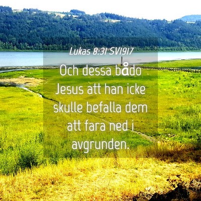 Picture 04 - Lukas 8:31 SV1917 - Och dessa bådo Jesus att han icke skulle befalla - Bible Verse Picture