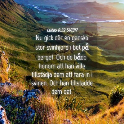 Picture 04 - Lukas 8:32 SV1917 - Nu gick där en ganska stor svinhjord i bet på - Bible Verse Picture