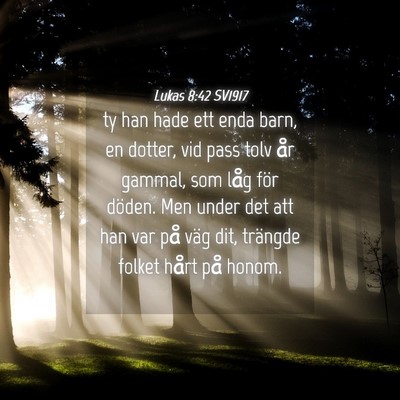 Picture 04 - Lukas 8:42 SV1917 - ty han hade ett enda barn, en dotter, vid pass - Bible Verse Picture