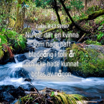 Picture 04 - Lukas 8:43 SV1917 - Nu var där en kvinna som hade haft blodgång i - Bible Verse Picture