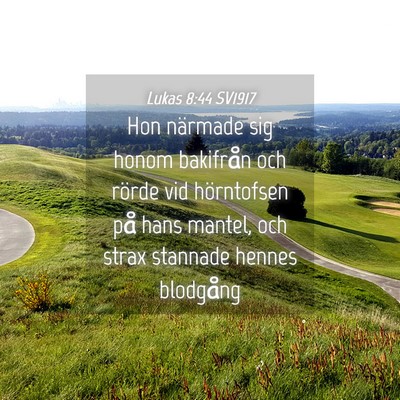 Picture 04 - Lukas 8:44 SV1917 - Hon närmade sig honom bakifrån och rörde vid - Bible Verse Picture