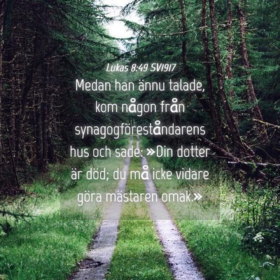 Picture 04 - Lukas 8:49 SV1917 - Medan han ännu talade, kom någon från - Bible Verse Picture