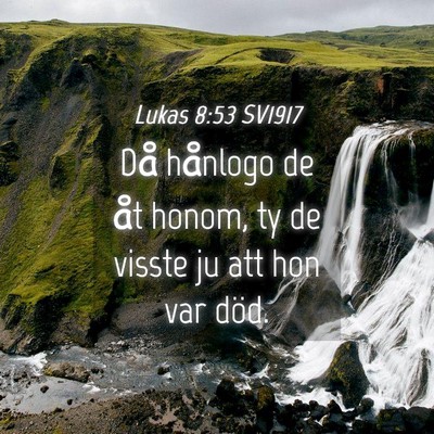 Picture 04 - Lukas 8:53 SV1917 - Då hånlogo de åt honom, ty de visste ju att - Bible Verse Picture
