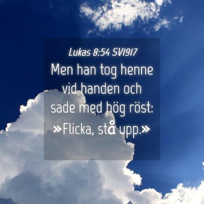Picture 04 - Lukas 8:54 SV1917 - Men han tog henne vid handen och sade med hög - Bible Verse Picture