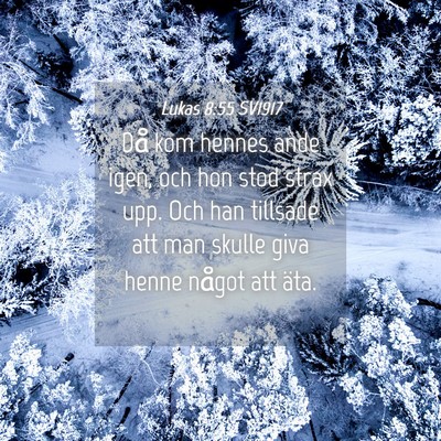 Picture 04 - Lukas 8:55 SV1917 - Då kom hennes ande igen, och hon stod strax upp. - Bible Verse Picture