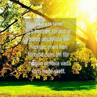 Picture 04 - Lukas 8:56 SV1917 - Och hennes föräldrar blevo uppfyllda av - Bible Verse Picture