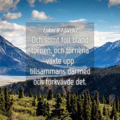 Picture 04 - Lukas 8:7 SV1917 - Och somt föll bland törnen, och törnena växte - Bible Verse Picture