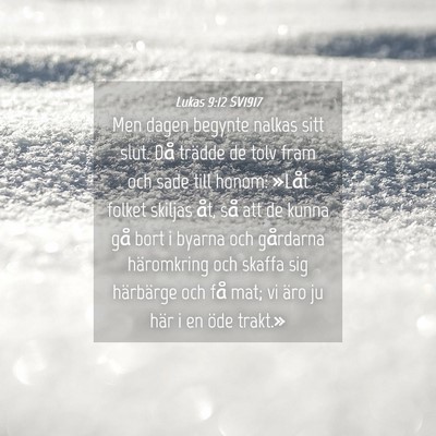 Picture 04 - Lukas 9:12 SV1917 - Men dagen begynte nalkas sitt slut. Då trädde - Bible Verse Picture