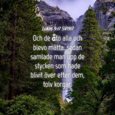 Picture 04 - Lukas 9:17 SV1917 - Och de åto alla och blevo mätta. sedan samlade - Bible Verse Picture