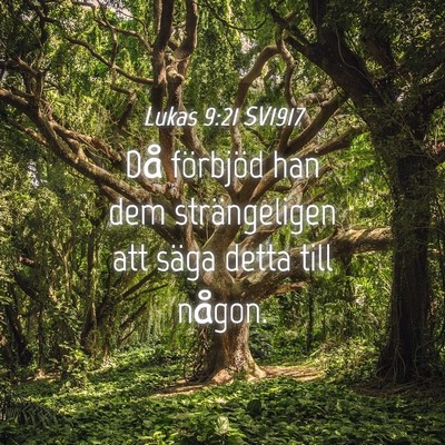 Picture 04 - Lukas 9:21 SV1917 - Då förbjöd han dem strängeligen att säga - Bible Verse Picture