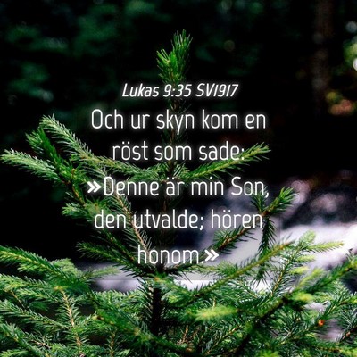 Picture 04 - Lukas 9:35 SV1917 - Och ur skyn kom en röst som sade: »Denne är - Bible Verse Picture