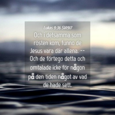 Picture 04 - Lukas 9:36 SV1917 - Och i detsamma som rösten kom, funno de Jesus - Bible Verse Picture