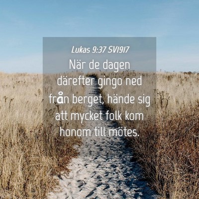 Picture 04 - Lukas 9:37 SV1917 - När de dagen därefter gingo ned från berget, - Bible Verse Picture