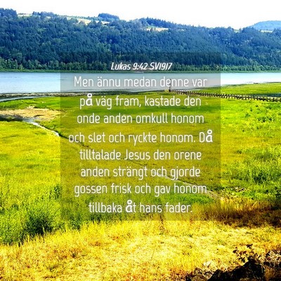 Picture 04 - Lukas 9:42 SV1917 - Men ännu medan denne var på väg fram, kastade - Bible Verse Picture