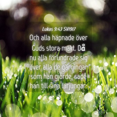Picture 04 - Lukas 9:43 SV1917 - Och alla häpnade över Guds stora makt. Då nu - Bible Verse Picture