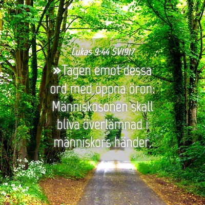 Picture 04 - Lukas 9:44 SV1917 - »Tagen emot dessa ord med öppna öron: - Bible Verse Picture