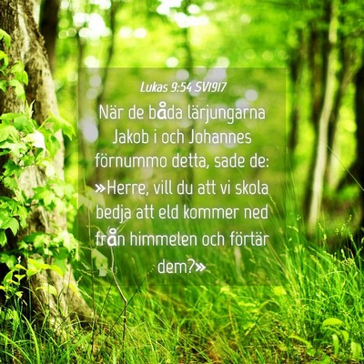Picture 04 - Lukas 9:54 SV1917 - När de båda lärjungarna Jakob i och Johannes - Bible Verse Picture