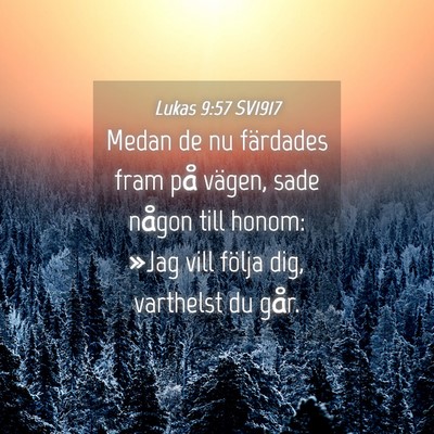 Picture 04 - Lukas 9:57 SV1917 - Medan de nu färdades fram på vägen, sade - Bible Verse Picture