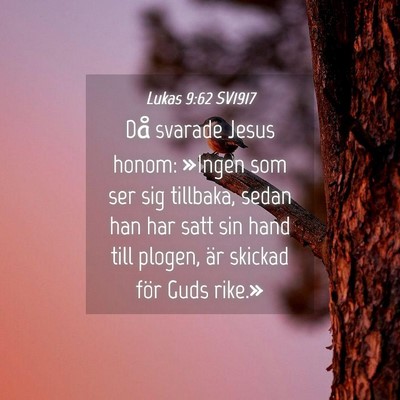 Picture 04 - Lukas 9:62 SV1917 - Då svarade Jesus honom: »Ingen som ser sig - Bible Verse Picture