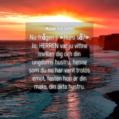 Picture 04 - Malaki 2:14 SV1917 - Nu frågen I: »Huru så?» Jo, HERREN var ju - Bible Verse Picture