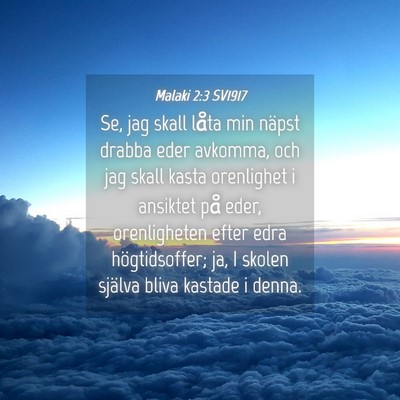 Picture 04 - Malaki 2:3 SV1917 - Se, jag skall låta min näpst drabba eder - Bible Verse Picture
