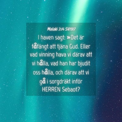 Picture 04 - Malaki 3:14 SV1917 - I haven sagt: »Det är fåfängt att tjäna Gud. - Bible Verse Picture