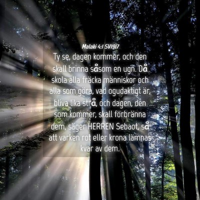 Picture 04 - Malaki 4:1 SV1917 - Ty se, dagen kommer, och den skall brinna såsom - Bible Verse Picture