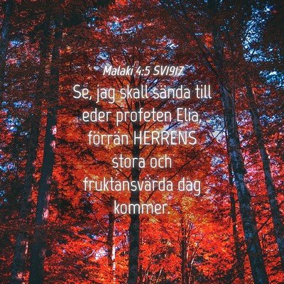 Picture 04 - Malaki 4:5 SV1917 - Se, jag skall sända till eder profeten Elia, - Bible Verse Picture